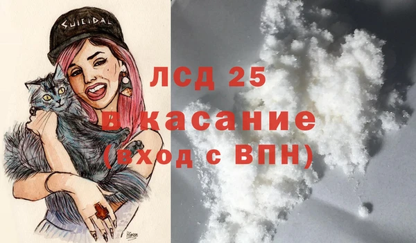 ПСИЛОЦИБИНОВЫЕ ГРИБЫ Абаза