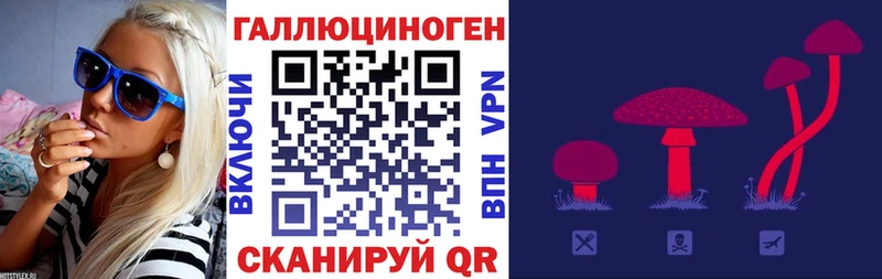 Псилоцибиновые грибы Cubensis  Горячеводский 